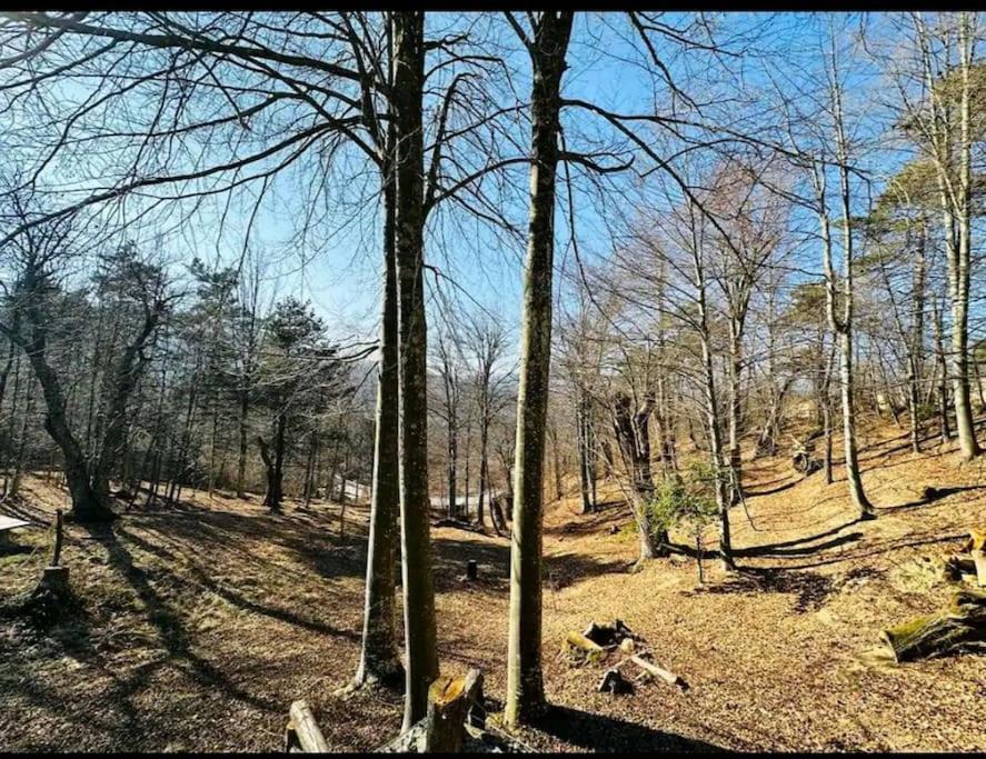 Il Villaggio Dei Puffi Bardineto Buitenkant foto