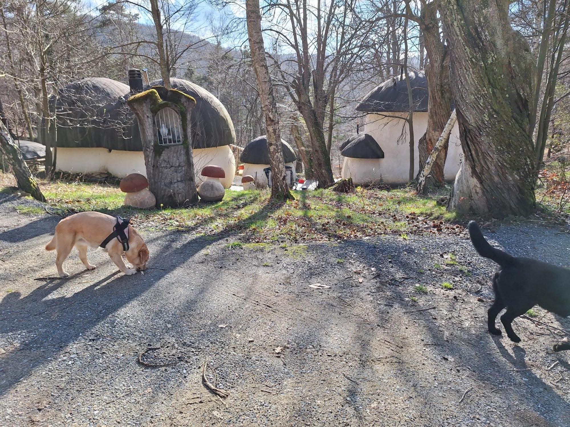 Il Villaggio Dei Puffi Bardineto Buitenkant foto